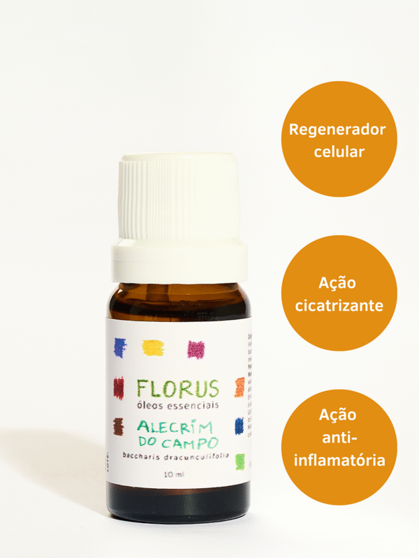Óleo Essencial de Alecrim do Campo 10ml
